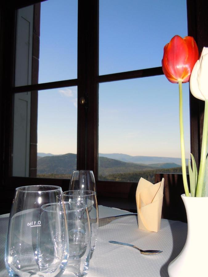 Hotel-Restaurant Mont Sainte-Odile Отротт Экстерьер фото